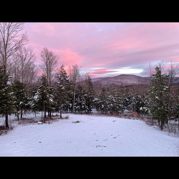 Meet your Posher, Nicole - Picture 1 of 1